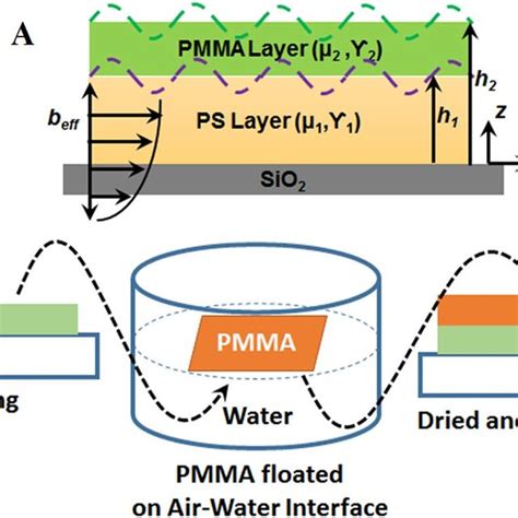 A Schematic Representation Of A Pmmapssio 2 Bilayer The Pmma Film Download Scientific