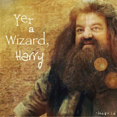 Hagrid Youre A Wizard Harry