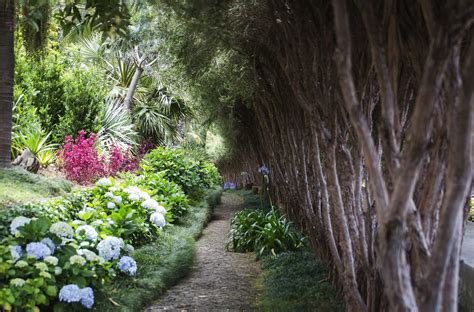 The Monte Palace Tropical Gardens - Ocean Retreat