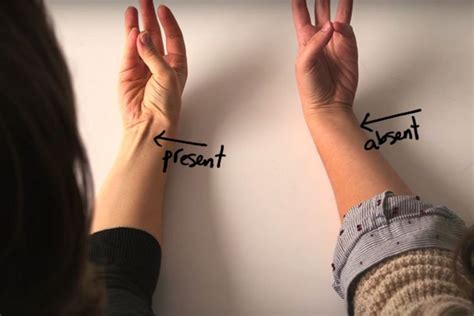 Viral Video Shows How To Find Your Vestigial Organs