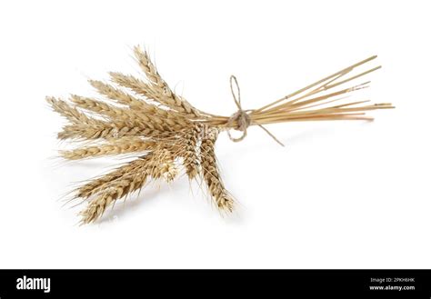 Bunch Of Wheat Ears Isolated On White Stock Photo Alamy