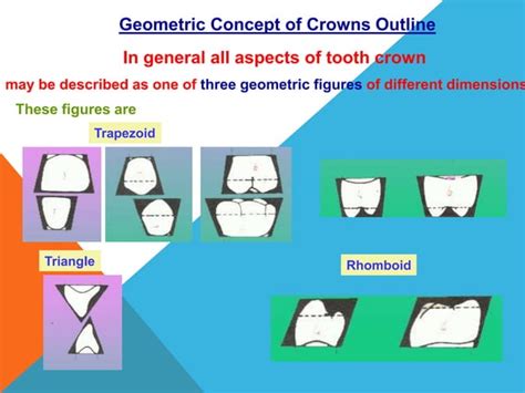 Geometric Outline Of Teeth Ppt