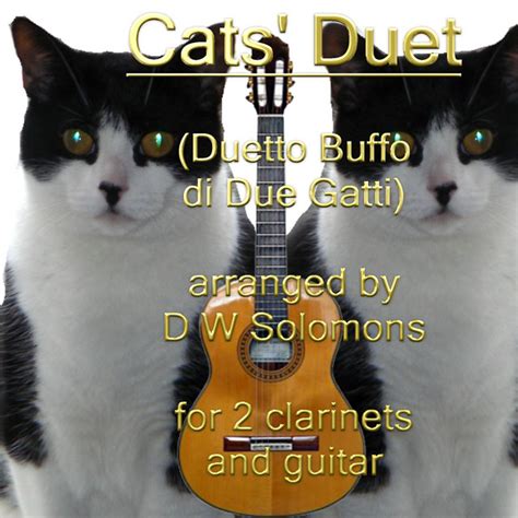 The Cats Duet Duetto Buffo Di Due Gatti For Guitar And 2 Clarinets