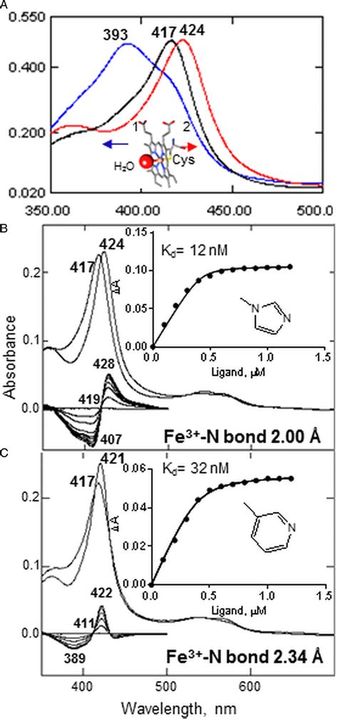 CYP51 Binding Ligands Can Be Identified By Spectral Titration A