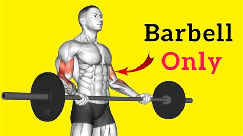 10 Barbell Bicep Exercises For Mass And Strength Youtube