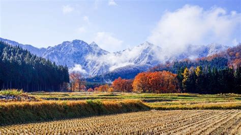 今日の湯沢晩秋と初冬の間 大源太旭原 湯沢日和ゆざわ びより