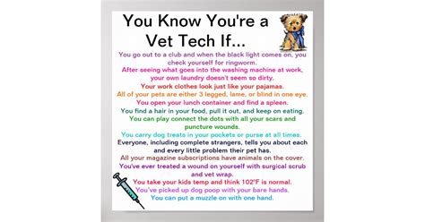 You Know Youre A Vet Tech If Poster Zazzle