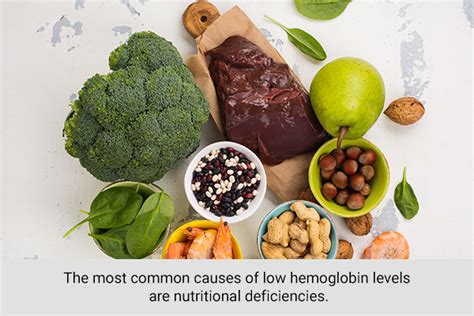 6 Foods To Increase Low Hemoglobin Level Mid Life Health