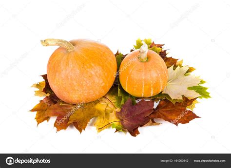 Pumpkins and fall leaves Stock Photo by ©Enika100 164260342