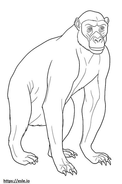 Bonobo Cartoon Coloring Page