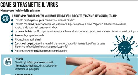 Vaiolo Delle Scimmie Chi Si Contagia Quali Sono I Sintomi E Le Cure