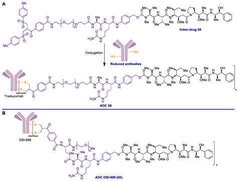 Marine Drugs Free Full Text Antibody Drug Conjugates Containing