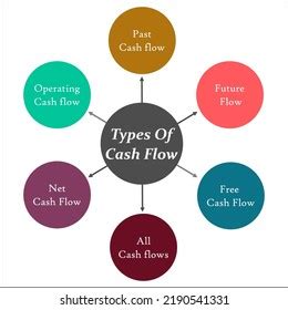 Types Cash Flows Infographic Template Stock Vector Royalty Free