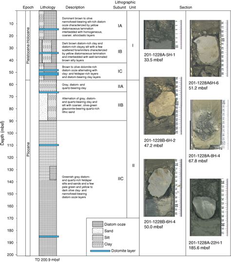 Figure F4 Lithostratigraphic Profile And Occurrence Of Dolomite At