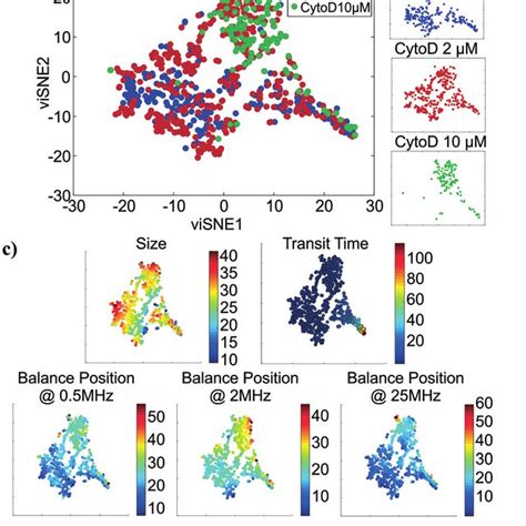 Multiparameter Intrinsic Measurements A Top View And Side View Of