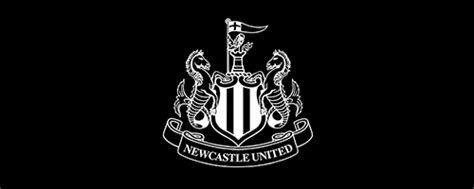 Newcastle United Football Club Newcastlegateshead Initiative