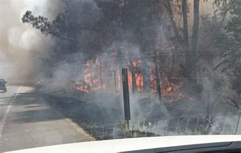 Incendio forestal en Quilpué ha consumido 40 hectáreas equipos de