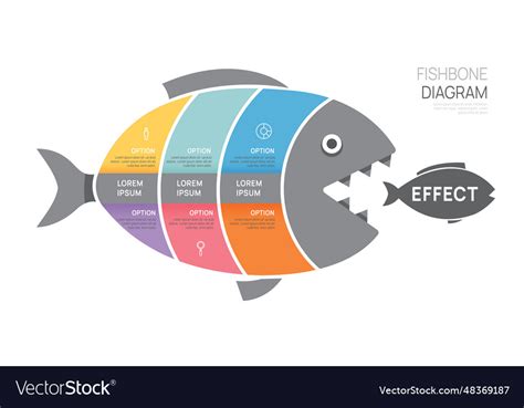 Fishbone diagram cause and effect template Vector Image