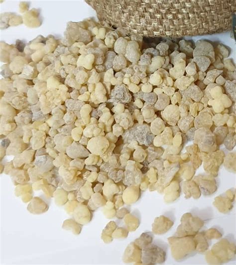 Organic Frankincense Olibanum Resin Aromatic Natural Incense Rock