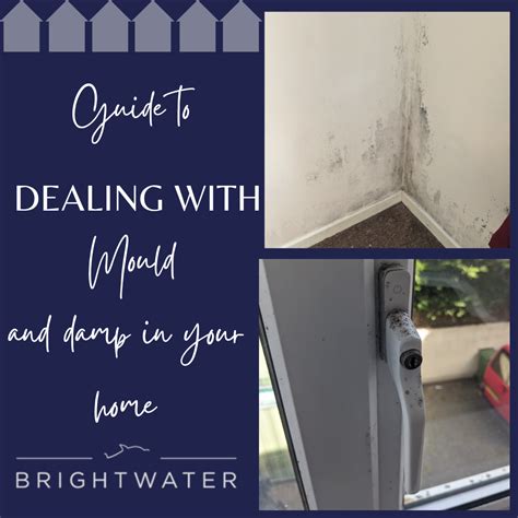 How To Prevent Mould And Condensation In Your Rental Property Brightwater