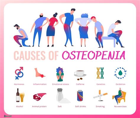 OSTEOPENIA - Symptoms, Causes, Risk Groups, Prevention and Treatment - Ecosh