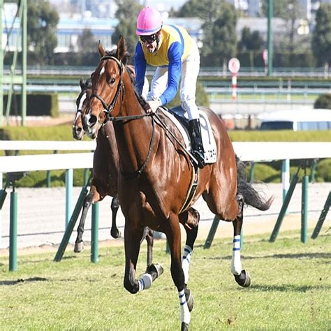 【阪神5r新馬戦結果】外国産馬エアアネモイが逃げて3馬身差圧勝 2021年12月19日掲載 ライブドアニュース