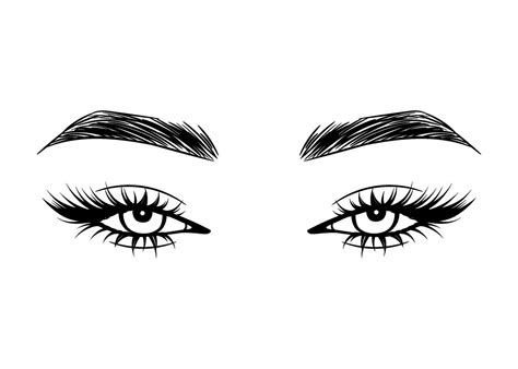 Vector Hand Drawn Beautiful Female Eyes With Long Black Eyelashes And Brows Close Up 29287760