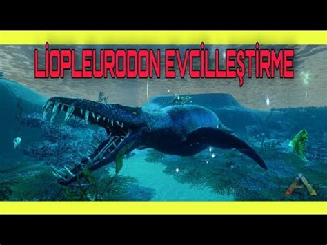 Liopleurodon Evcille Tirme En Nadir Hayvan Liopleurodon Tame Ark