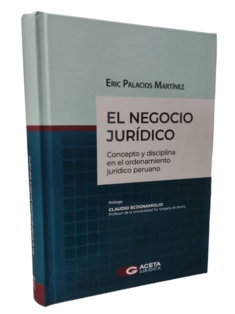 El negocio jurídico