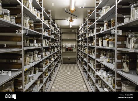 Brussels Capital Region Belgium 03 19 2022 Isle With Shelves In