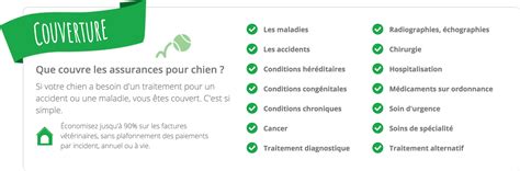 Assurance Chien Trouvez La Meilleure Mutuelle Pour Chien