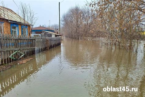 В Куртамыше уже затоплено почти 26 жилых домов