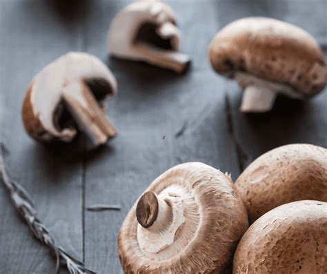 Freezing Portobello Mushrooms How To Do It Correctly My Green Feasts