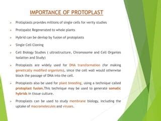 Protoplast Isolation And Fusion for crop improvement | PPT