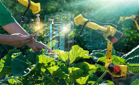 Nourishing The Future Harnessing Ai Solutions For Sustainable Food