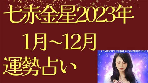 七赤金星【2023年上半期・下半期】転職・恋愛1月2月3月4月5月6月7月8月9月10月11月12月運勢バイオリズム