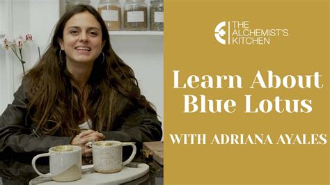 Learn About Blue Lotus With Adriana Ayales At The Alchemist S Kitchen