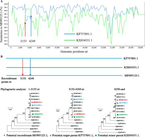 Recombination Analysis Of The Complete Genome Sequence Of Pdcov Strain