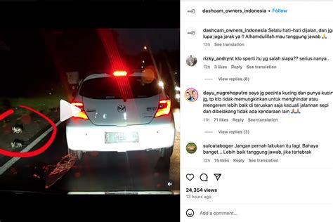 Mitos Menabrak Kucing Bikin Sial Begini Cara Menyikapinya