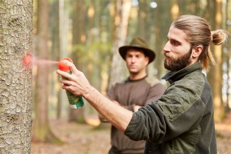 Formation Comment devenir garde forestier Le Télégramme