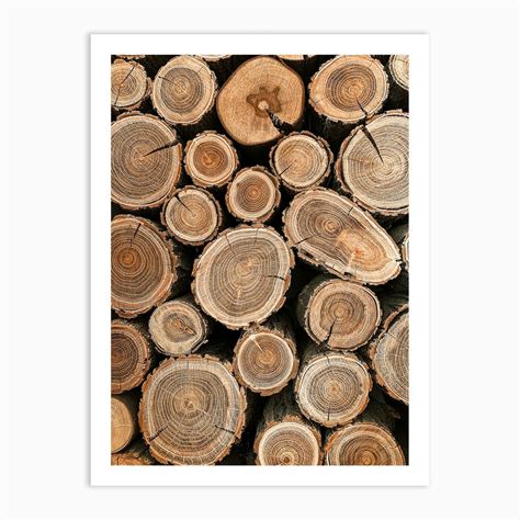 Wood Pile Art Print by Boheme At Home - Fy