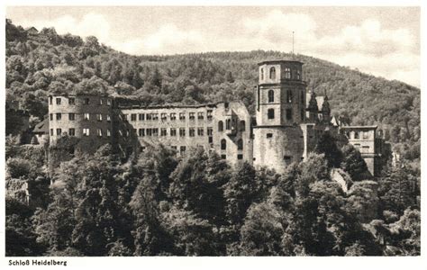 Vintage Postcard Schloss Heidelberg Palace Breathtaking Castle Woods