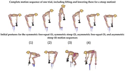 Ijerph Free Full Text Biomechanical Analysis Of Stoop And Free