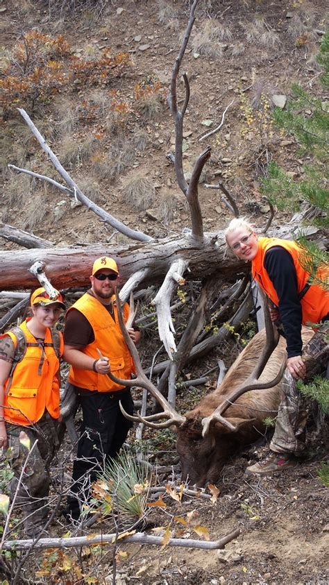 Colorado Hunter Testimonials Public Land Bull Elk And First Cow