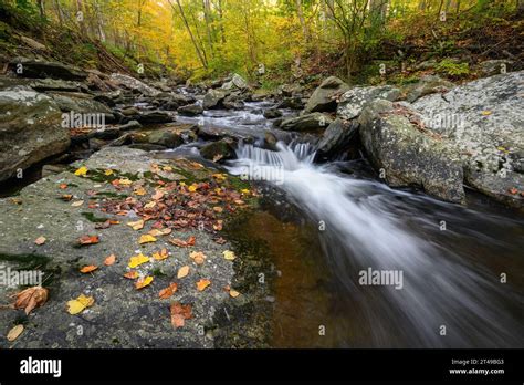 Big Hunting Creek in the Catoctin Mountains surrounded by the autumn ...