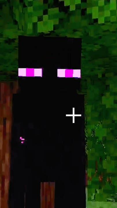 Minecraft Simple And Easy Trick To Kill Enderman Youtube