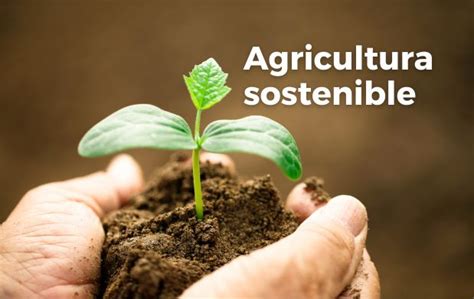 Acciones para una agricultura sostenible Secretaría de Agricultura y