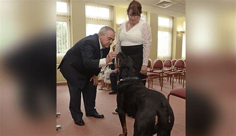 Facebook Viral Perro Testigo De La Boda De Sus Dueños ‘se Opone En Plena Ceremonia Video