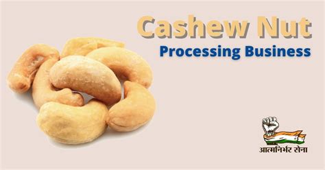 Cashew Nut Processing Business in India - A Business of All Seasons