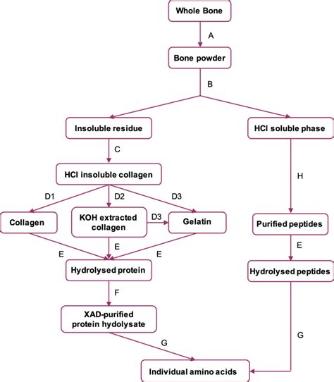 Flow Diagram Showing Pretreatment Methods Used By Tom Stafford And